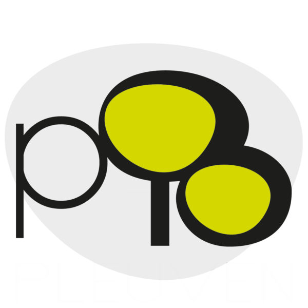 Favicon Mairie de Pleuven